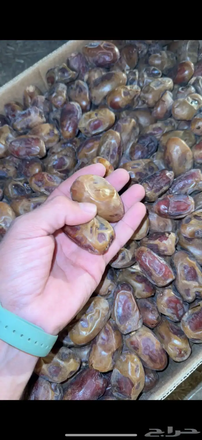 تمر فنخاء كراتين موز عدد 33 2