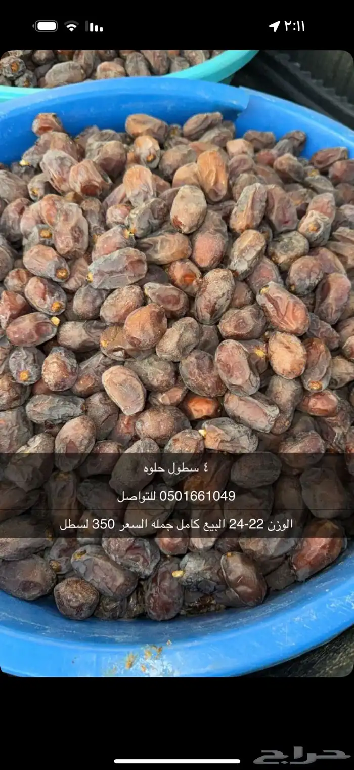 تمر حلوه 0