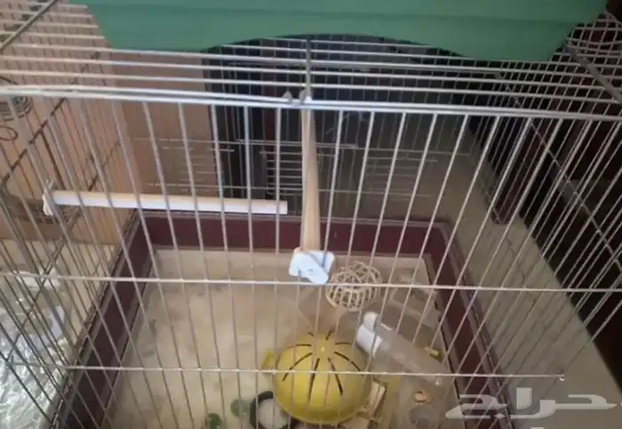 لمبات كوليدر مياه جالون ترابيزه طاولة خشب شاشة كمبيوتر شاشة 23