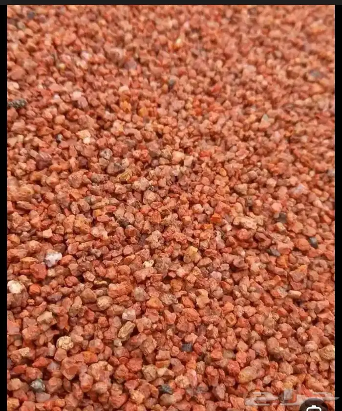 نجران 0
