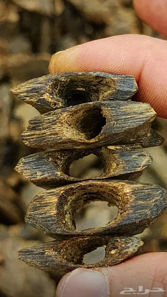 عود كينام تربل سوبر 0