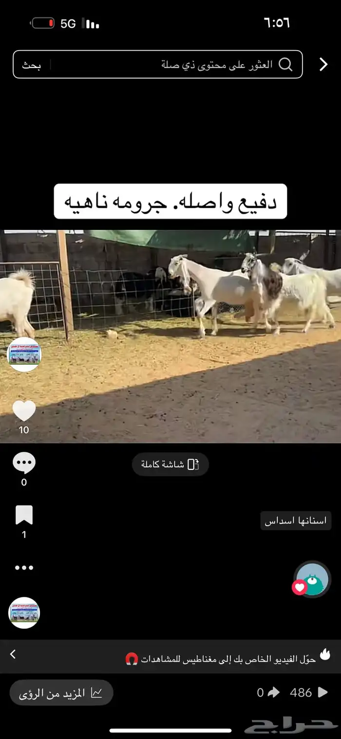 عرض بيع معز دفيع واصل 3