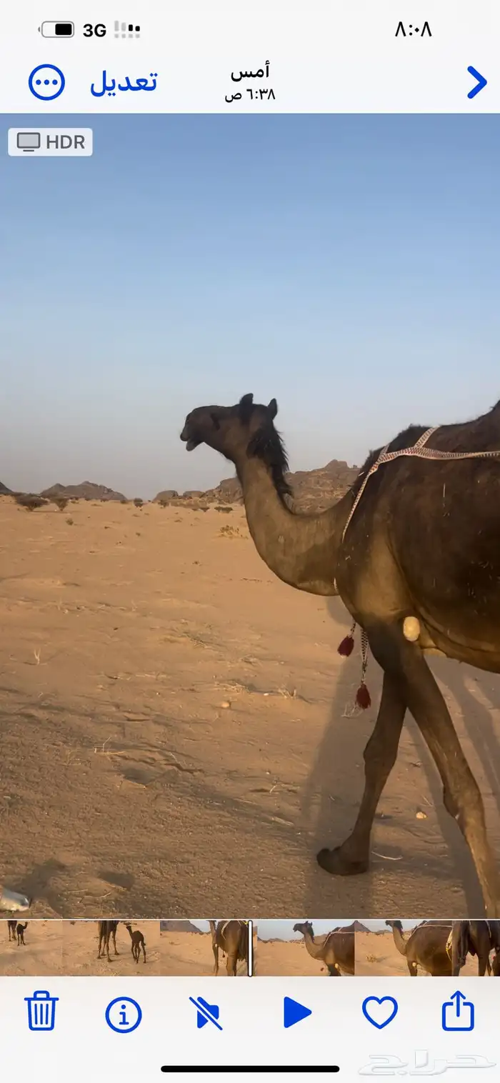 خلفه كفو 1