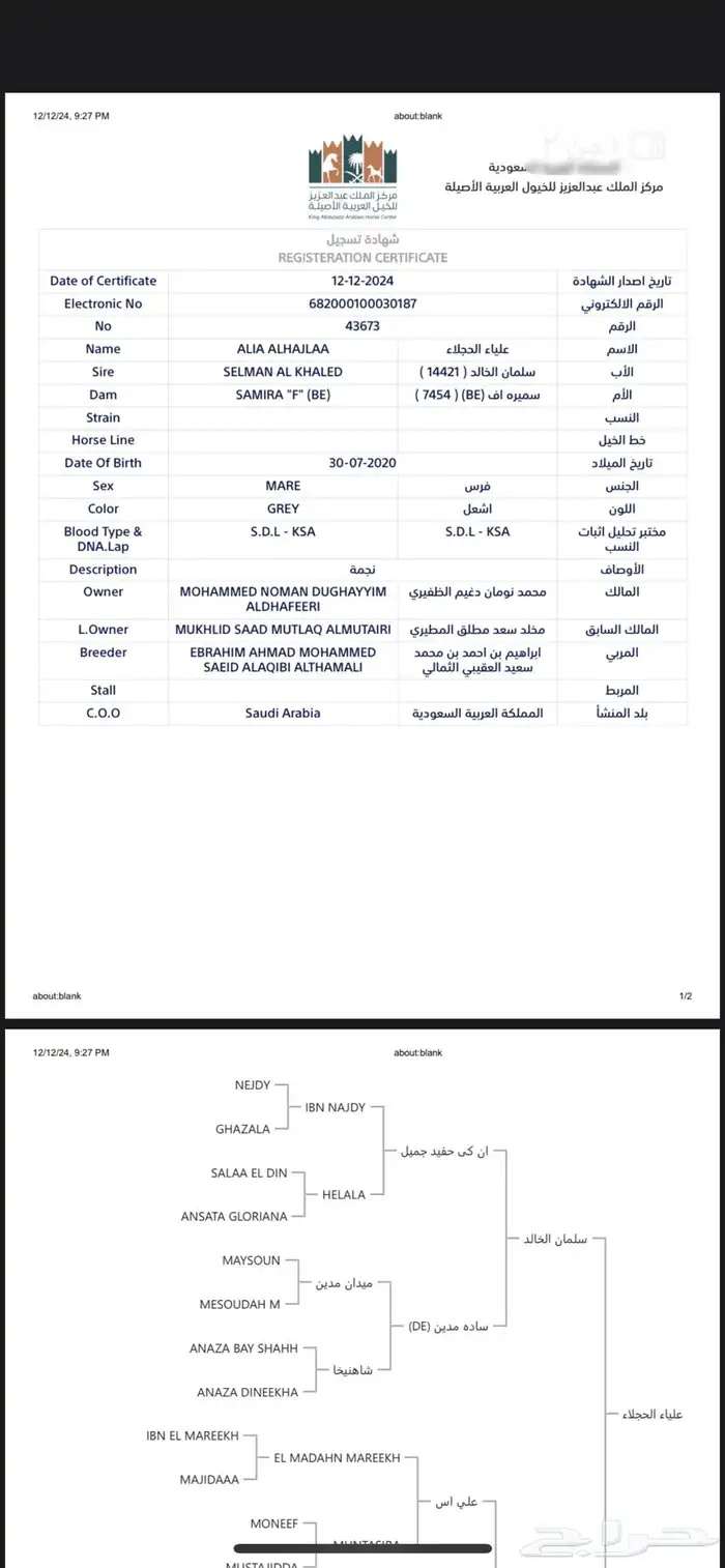 فرس واهو 3