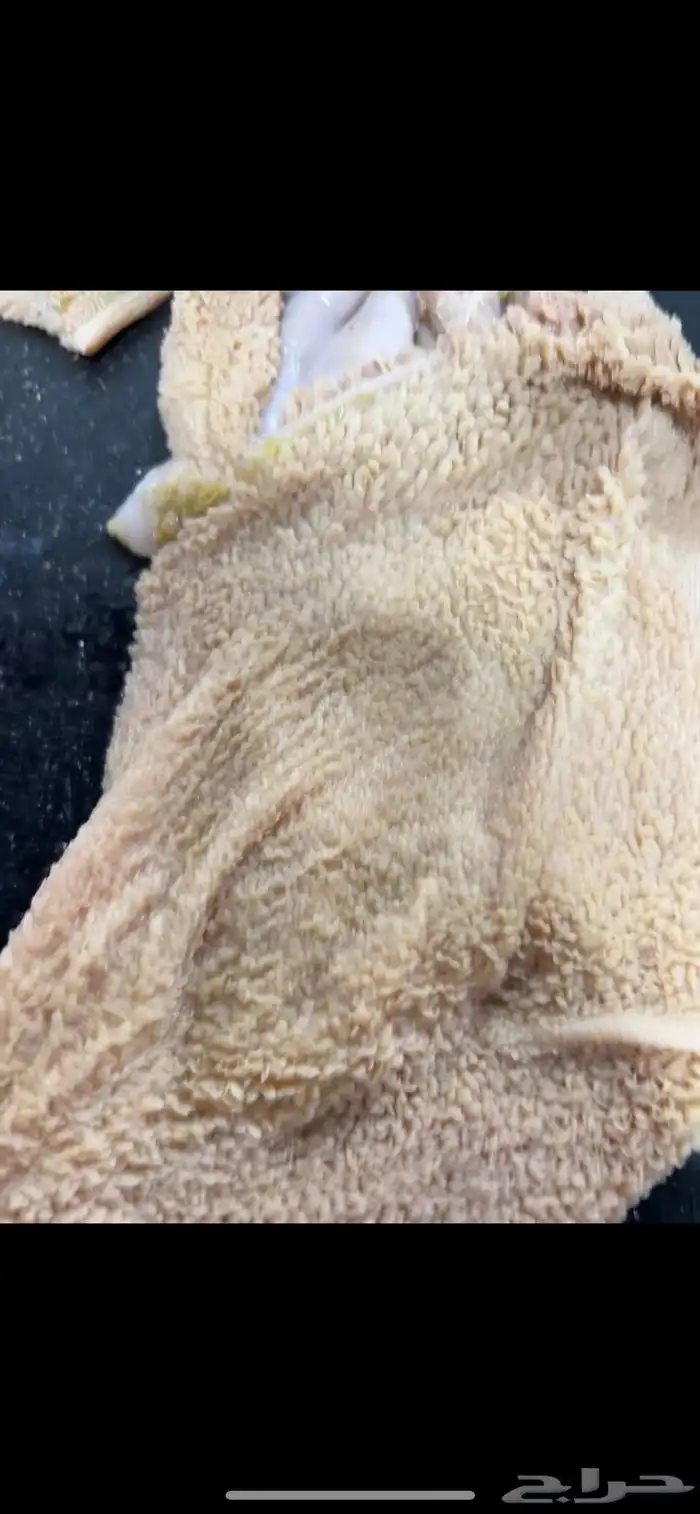 سواكني 6