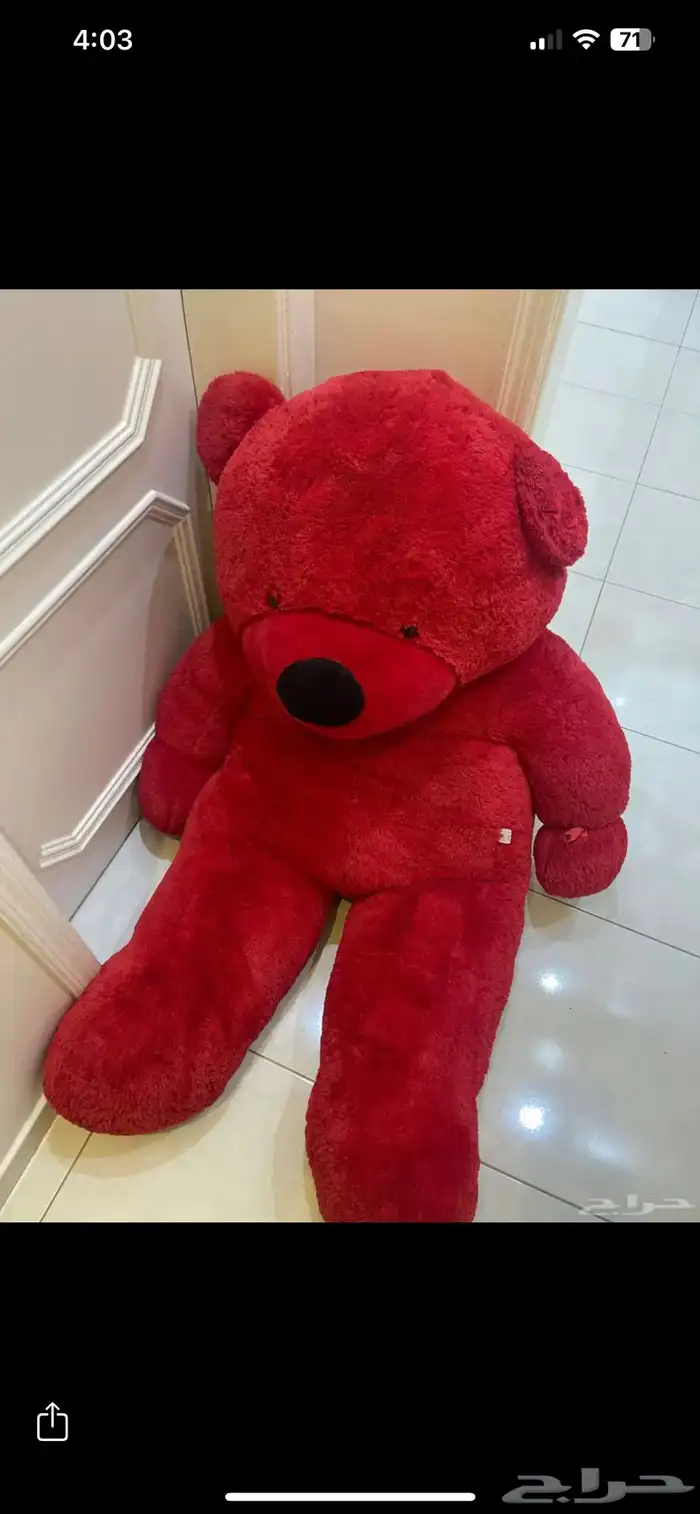 دبدوب كبير 2