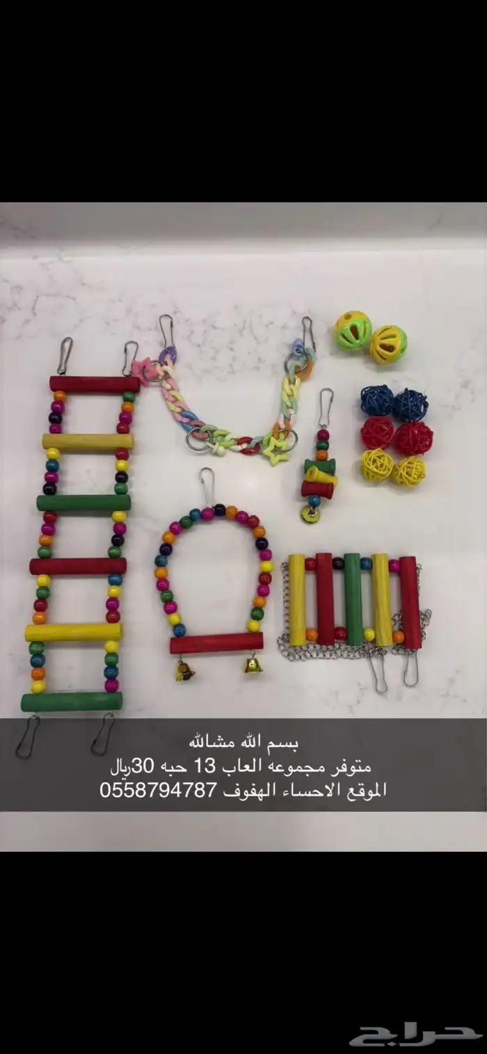 العاب طيور 0