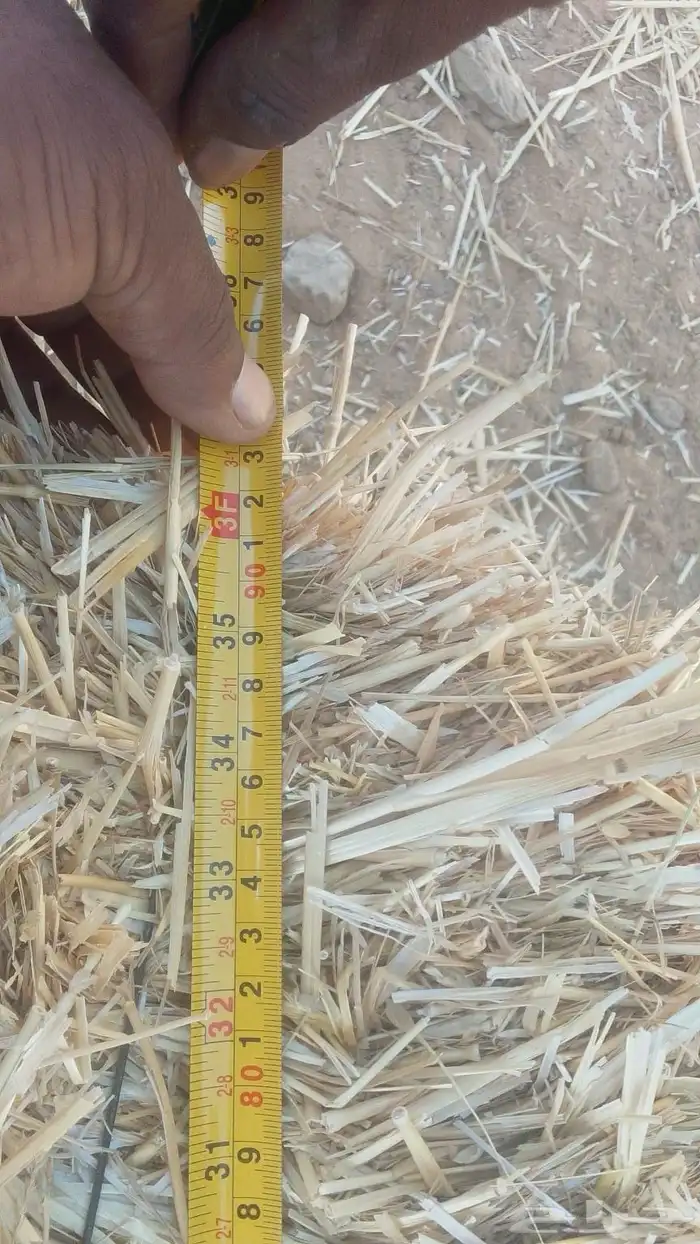 للبيع تبن بر جديد 2