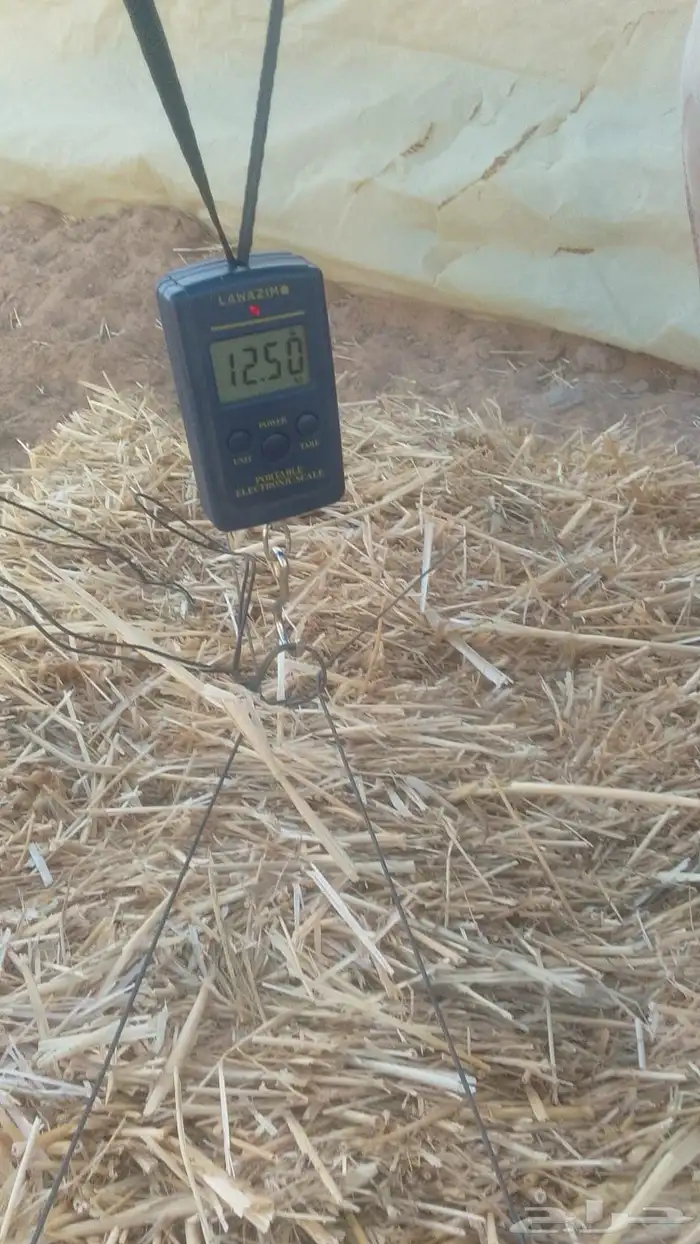 للبيع تبن بر جديد 0