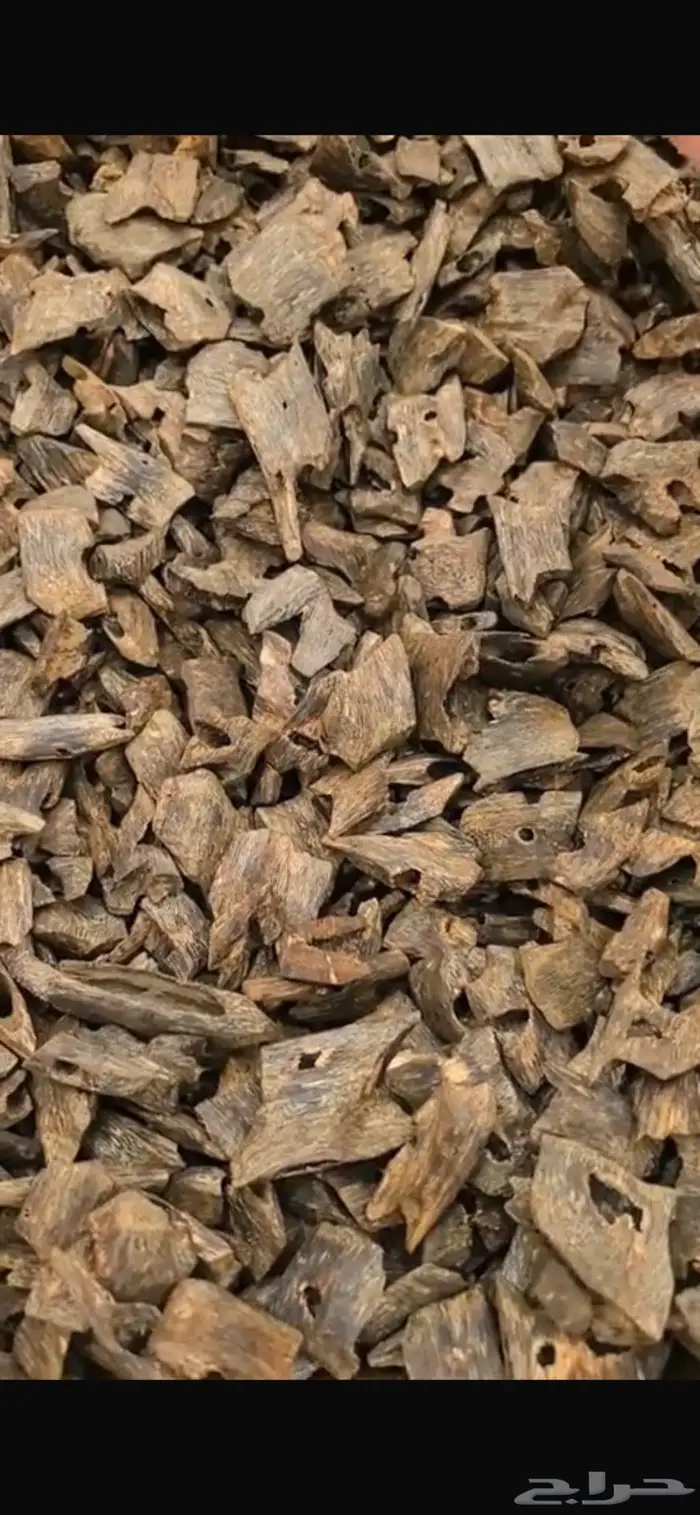 عود كينام تربل سوبر 2