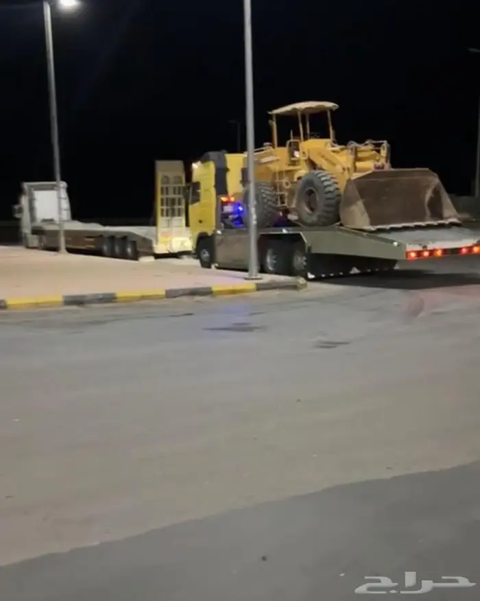 فلفو مسقس سطحه 1