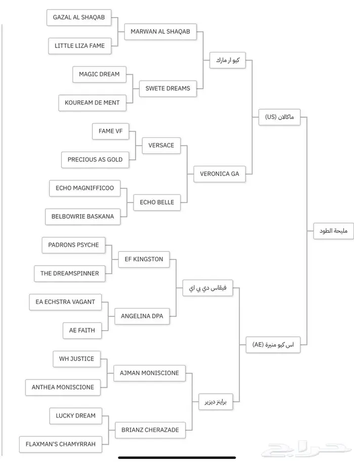 مهرتين واهو 2