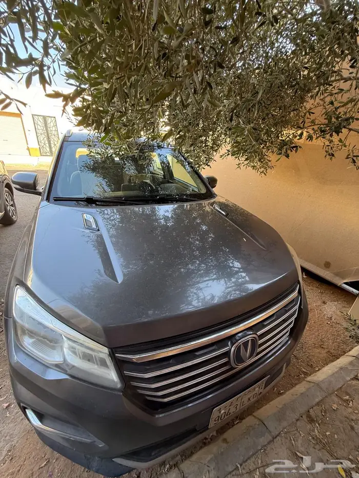 شنجان 2020 للبيع 1
