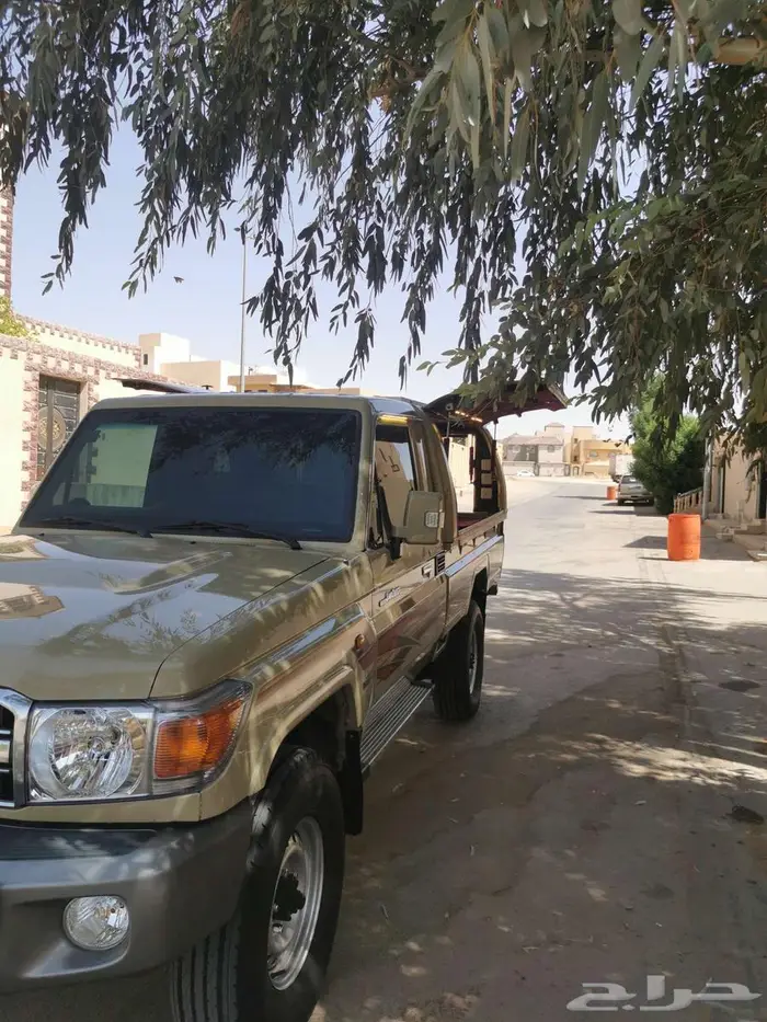 شاص 2011 20