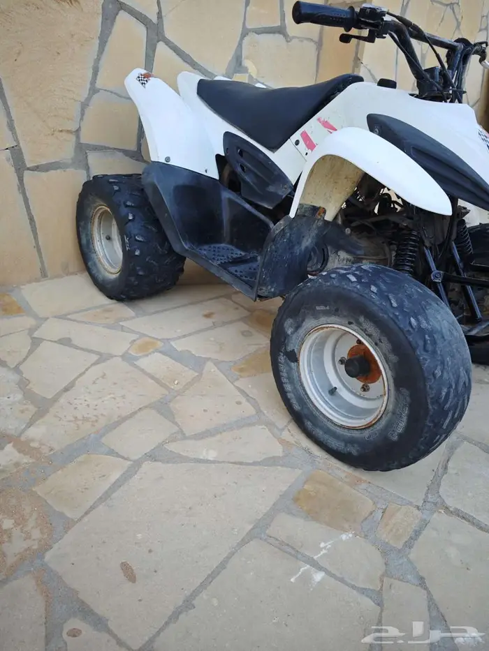 دباب الوسيط حجم 100 7