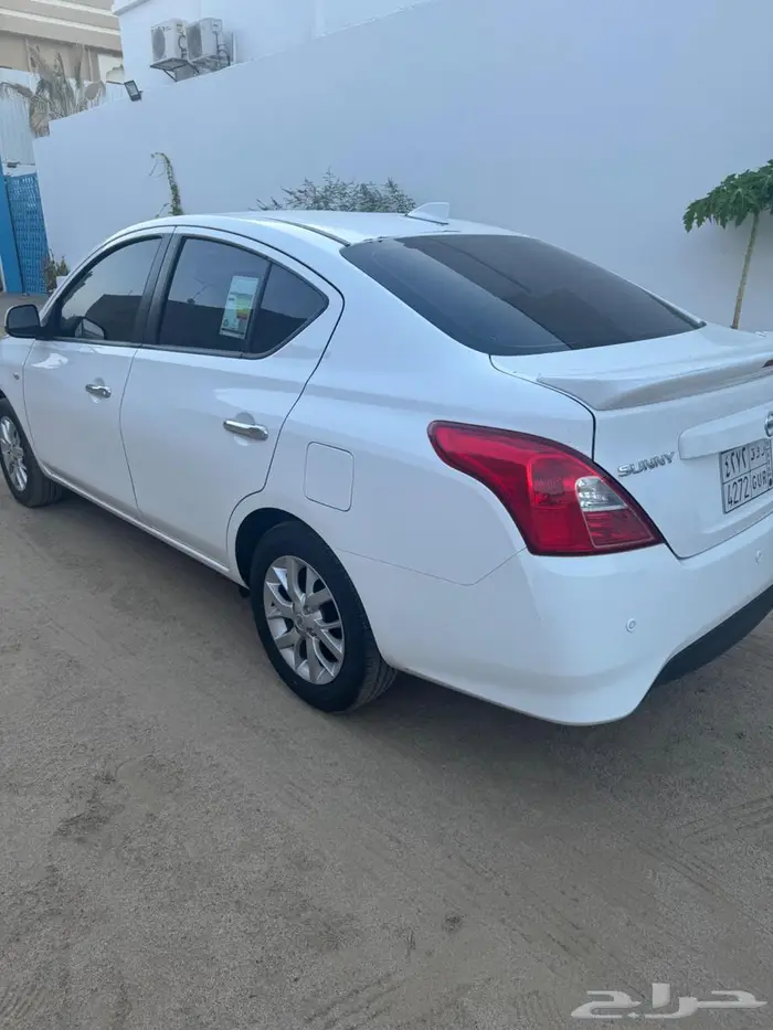صني للبيع 2024 3
