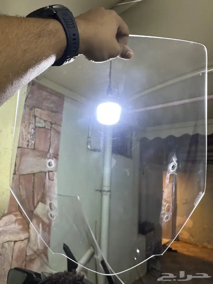 قولد وينق 2019 1
