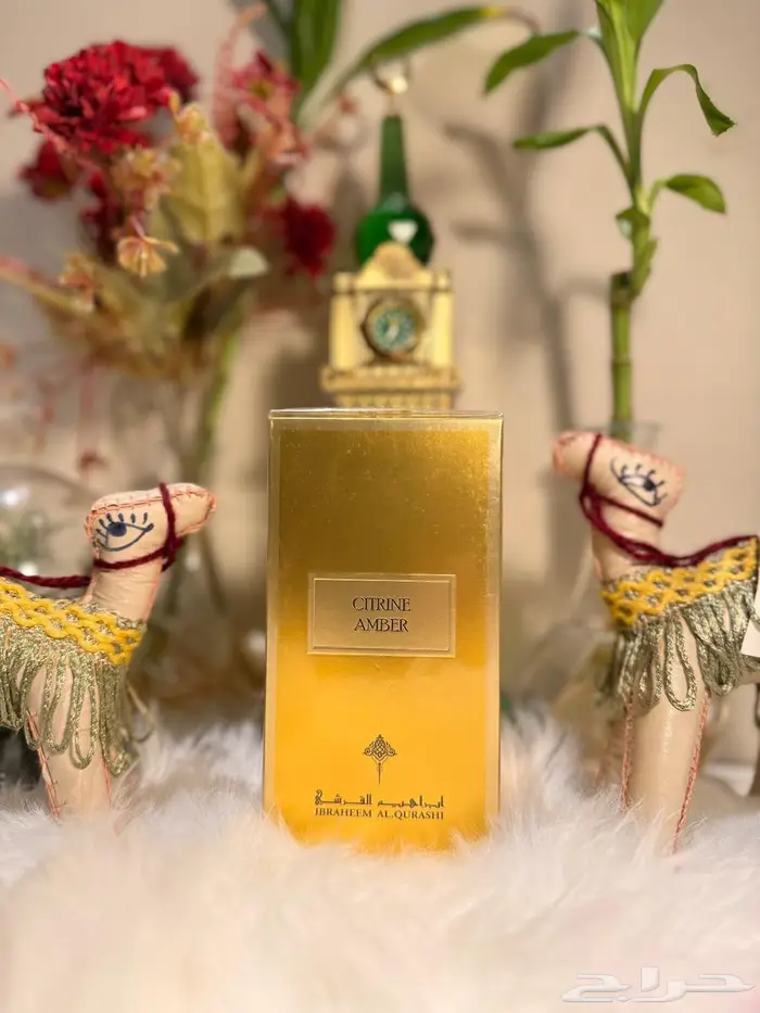 عطر سترين عنبر Citrine Amber من إبراهيم القرشي 0