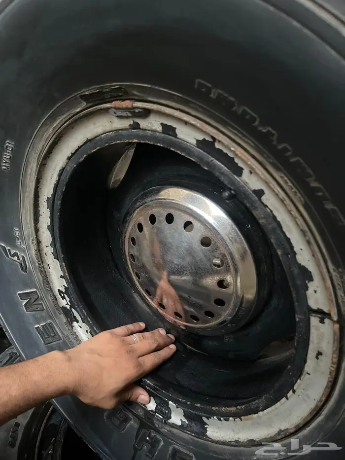 جنوط شنبر 6 مسمار 2