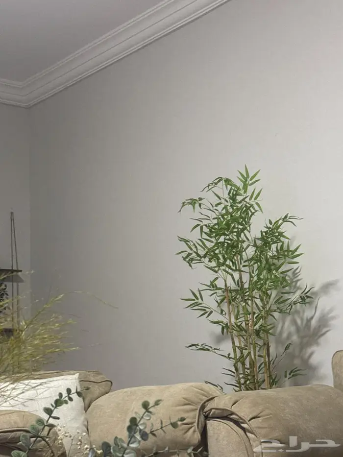 مركز مساج فاخر للنقببل 10غرف 0