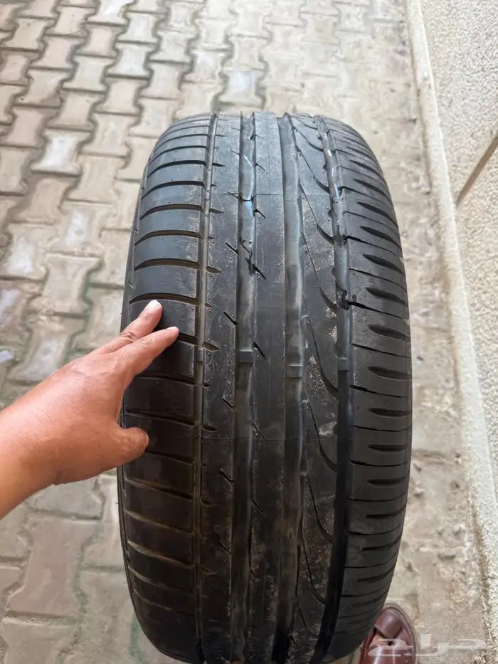 جنوط سكويا عشرين وكاله 6