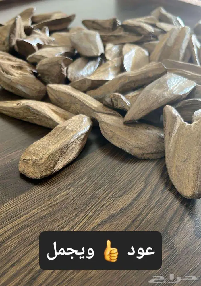 عود مروكي محسن 4