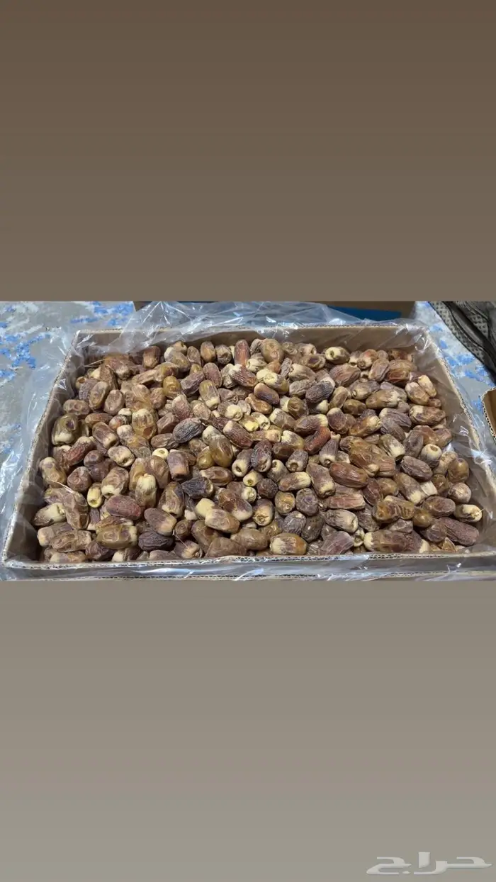 تمر صقعي للبيع 0