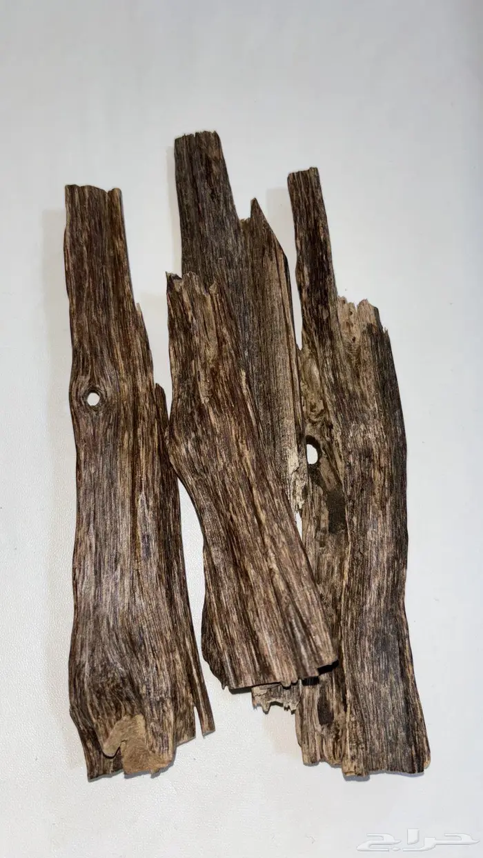 عود هندي نقلاند دبل وتربل 4