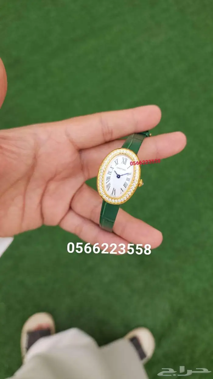 ساعه رولكس كارتير مونت بلانك اوديمار 2