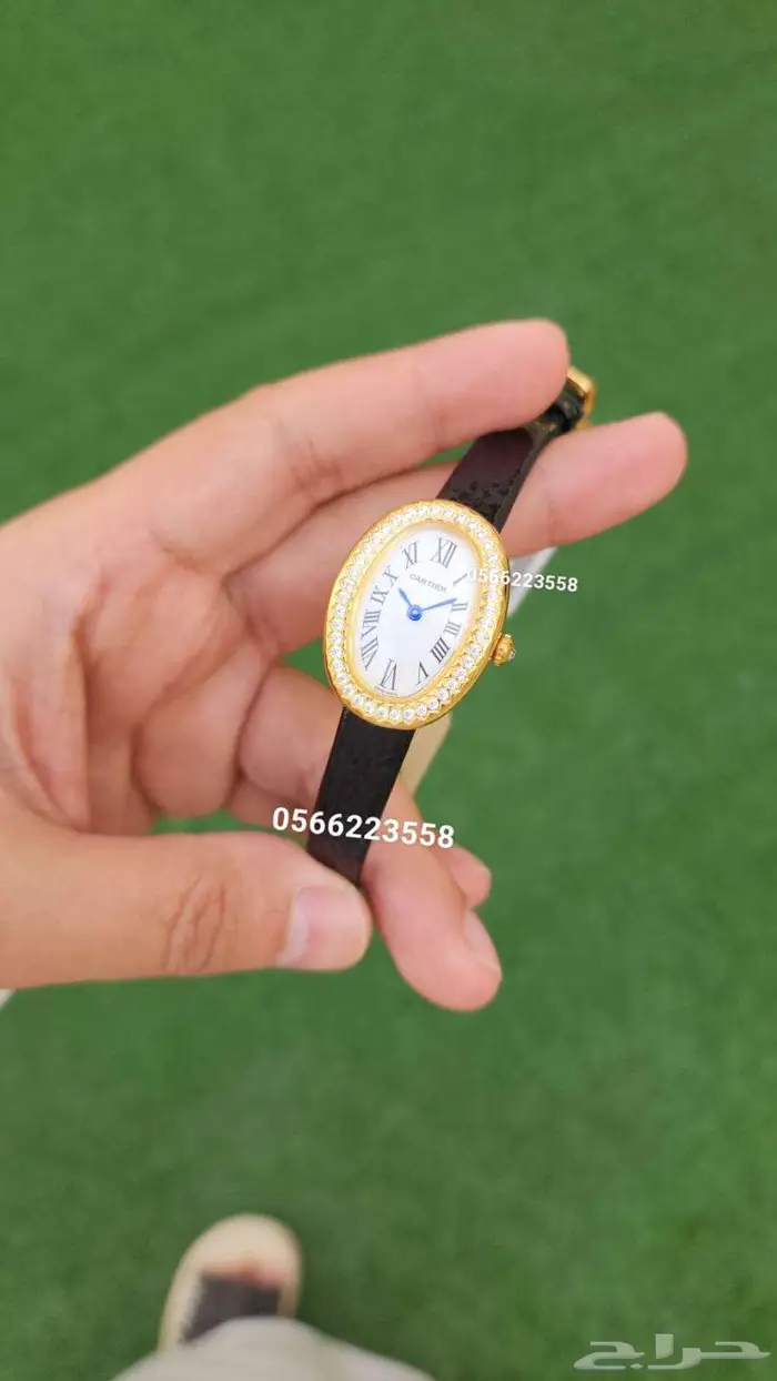 ساعه رولكس كارتير مونت بلانك اوديمار 3