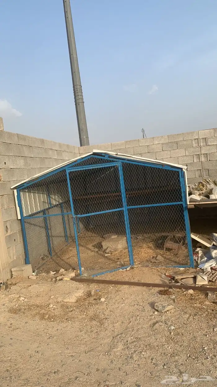 صنادق دجاج للبيع 3