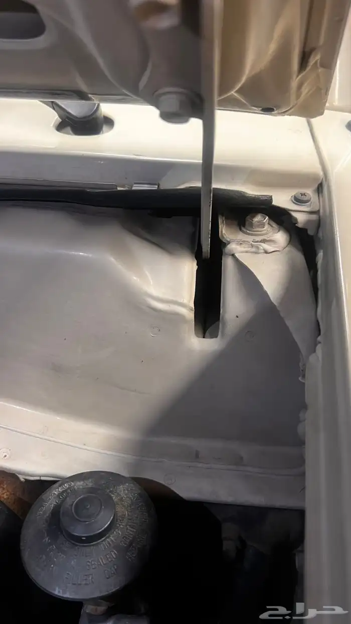 شاص اخو الجديد 19