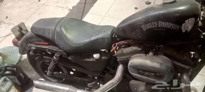 دباب هارلي 0