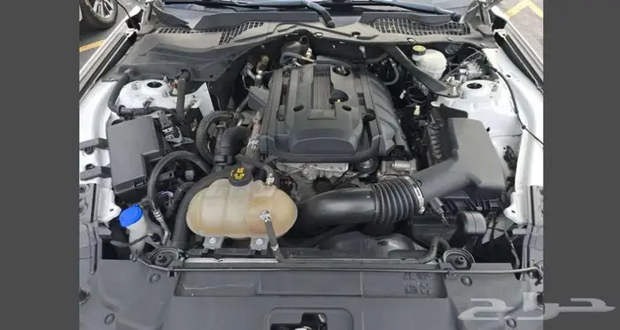 2020 Ford Mustang EcoBoost Premium Convertible 11