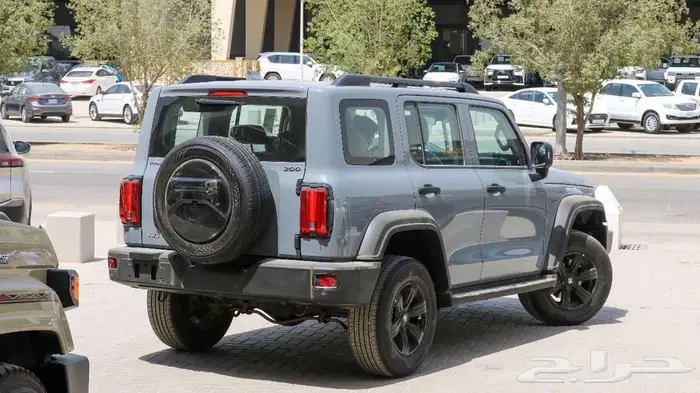 جريت وول تانك 300 مديل 2025 رصاصي كاش - اقساط 7