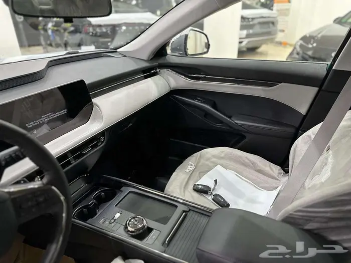 فورد تورس امبيانتي 2025 رمادي- FORD TAURUS AMBIENTE 8