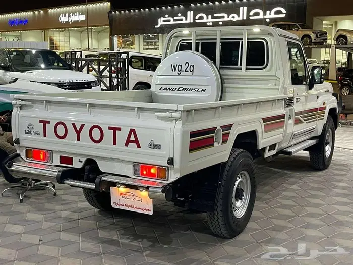 شاص 2022 سلق دفلك 6