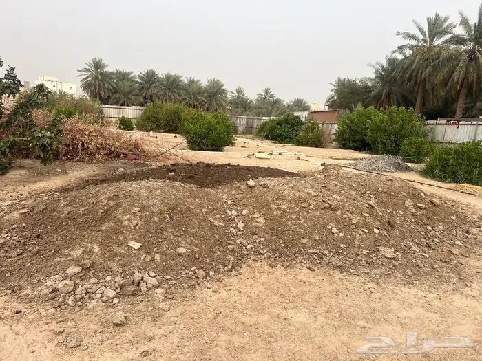 للبيع سماد بقري 0