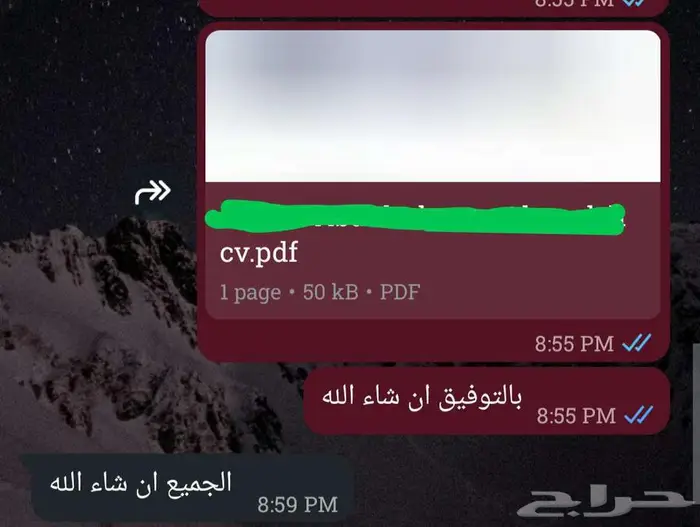 سيرة ذاتية (CV) متوافقة مع أنظمة التوظيف (ATS) بسعر رمزي 4