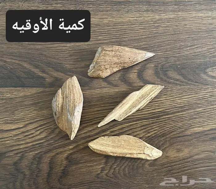 عود مروكي محسن 1
