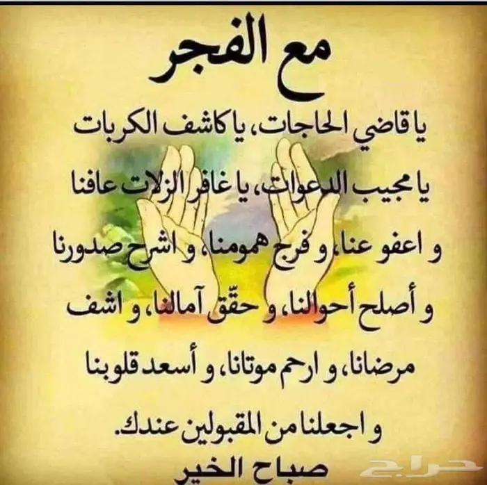 مطلوب شقة الصيهد للاجار عوائل 0