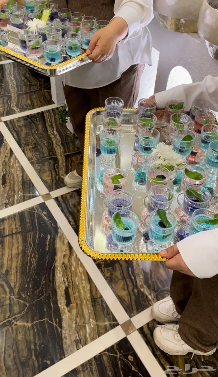 دي جي ومضيفات رانسي لجميع المناسبات 4