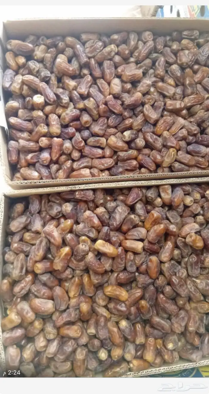 برني العيص انتاج هذه السنة 25 كرتون 0