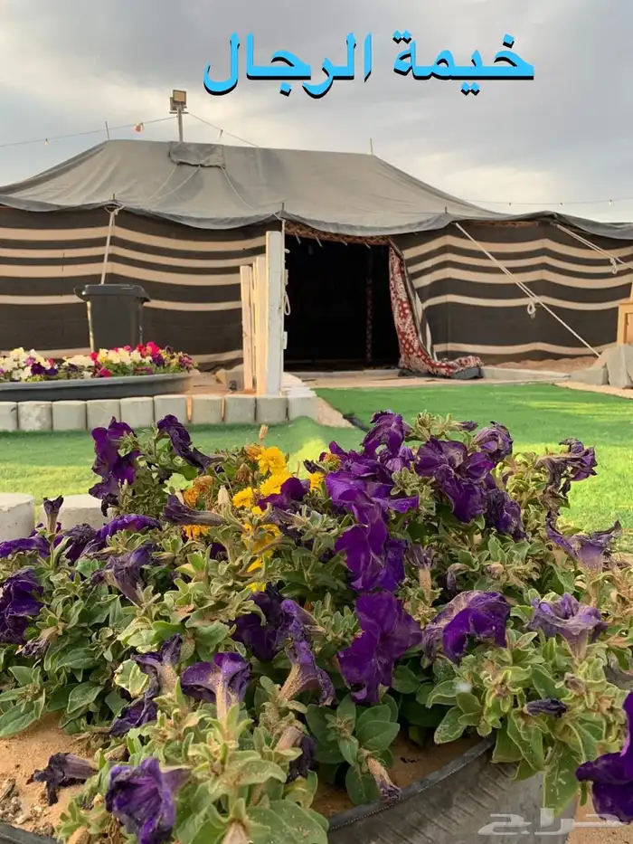 بيت شعر 12 6 0