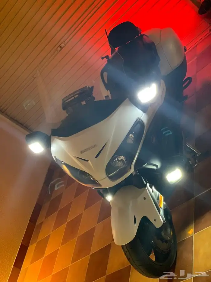 gold wing f6b 7