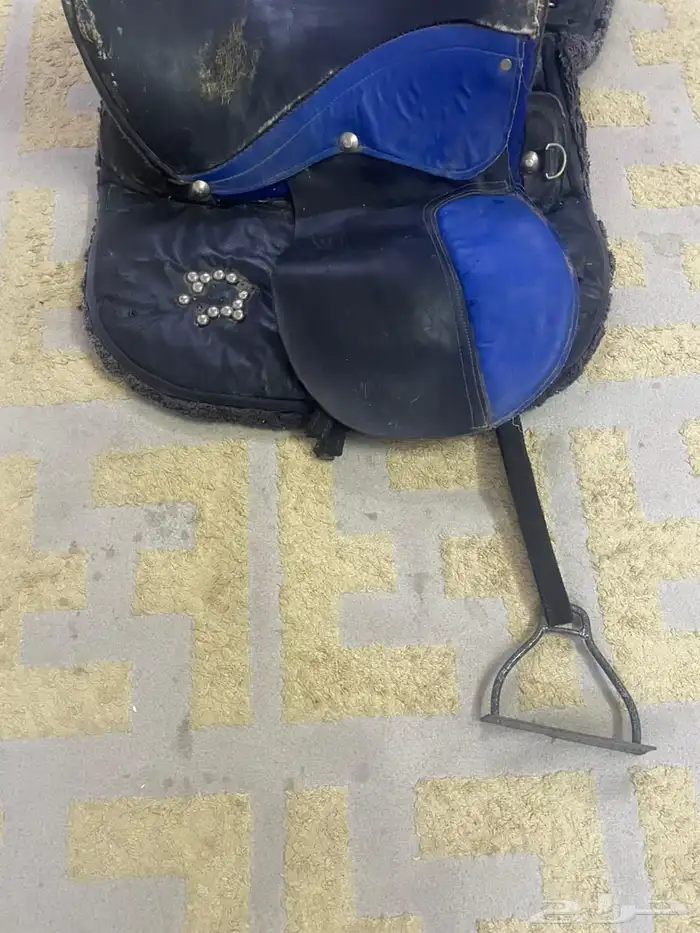 سرج خيل مع جميع اعراضه 1