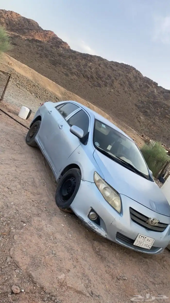 كوريلا 1