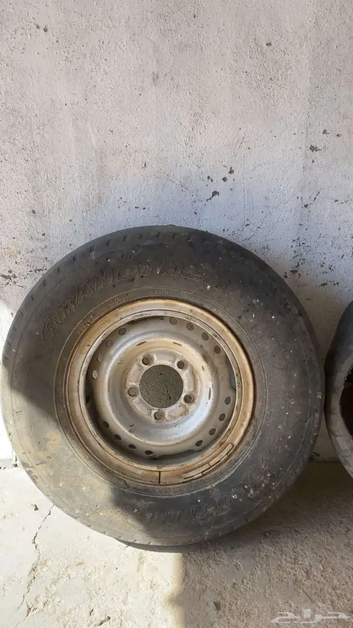 جنوط شاص وربع وكاله 1