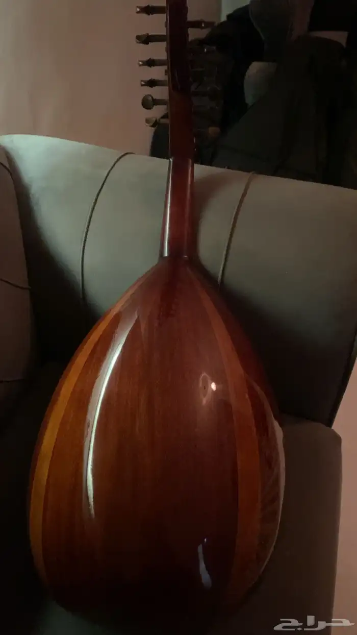 عود مصري 1