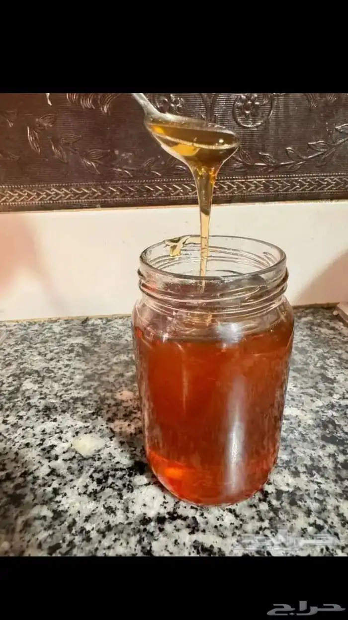 pure 100  Tunisian sidr honey 4